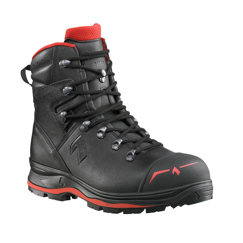 shop.doenges-rs2-279977