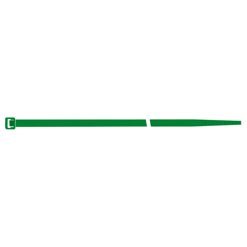 shop.doenges-rs2-280597