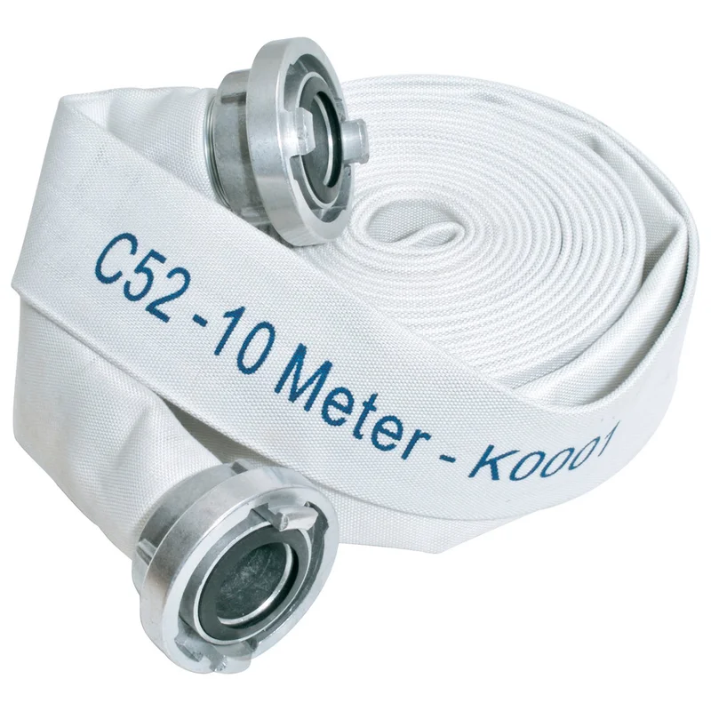 shop.doenges-rs2-280633