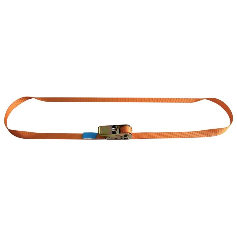 shop.doenges-rs2-281096