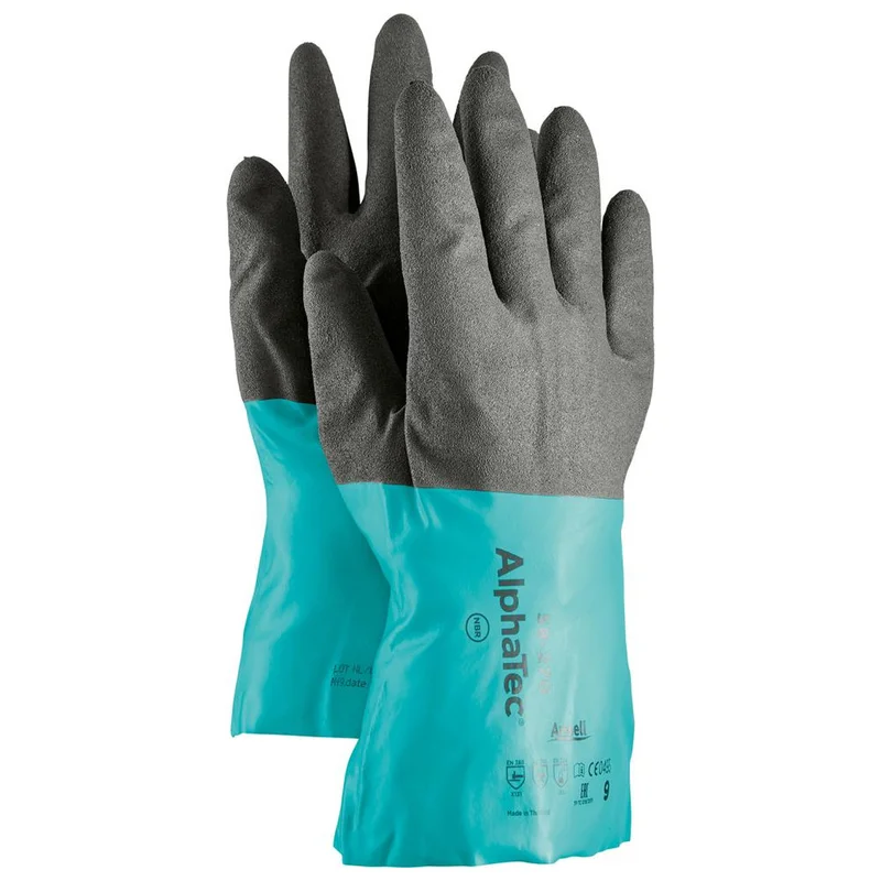 shop.doenges-rs2-281608