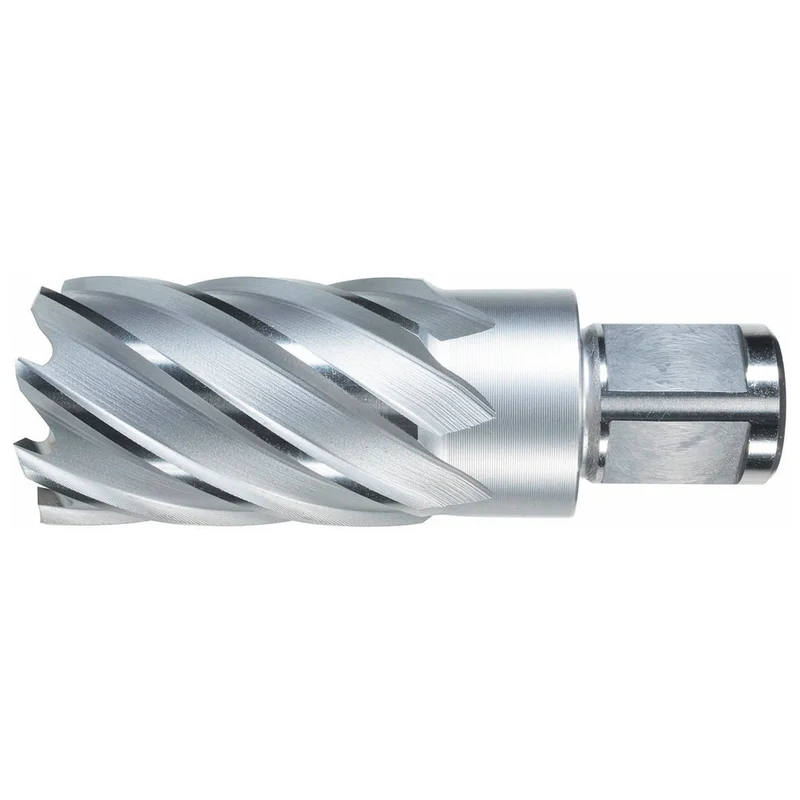 shop.doenges-rs2-282453