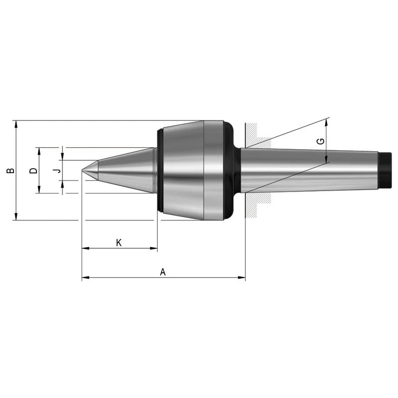 shop.doenges-rs2-283085