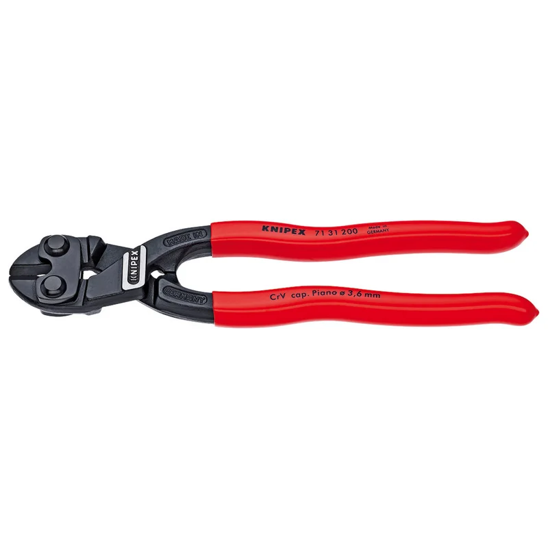 shop.doenges-rs2-283874