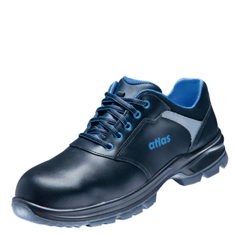 shop.doenges-rs2-286533