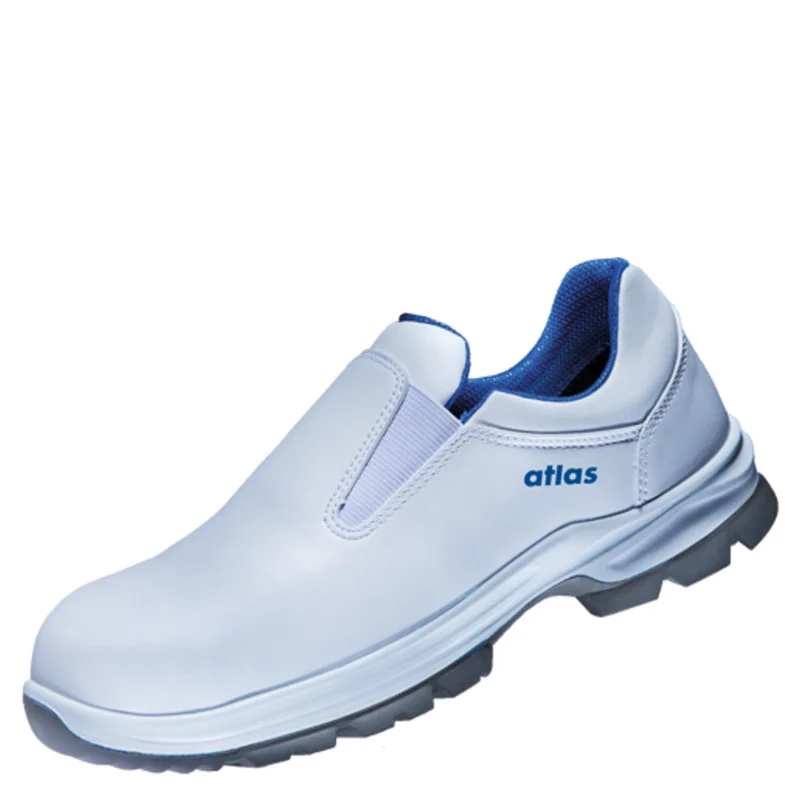 shop.doenges-rs2-286550