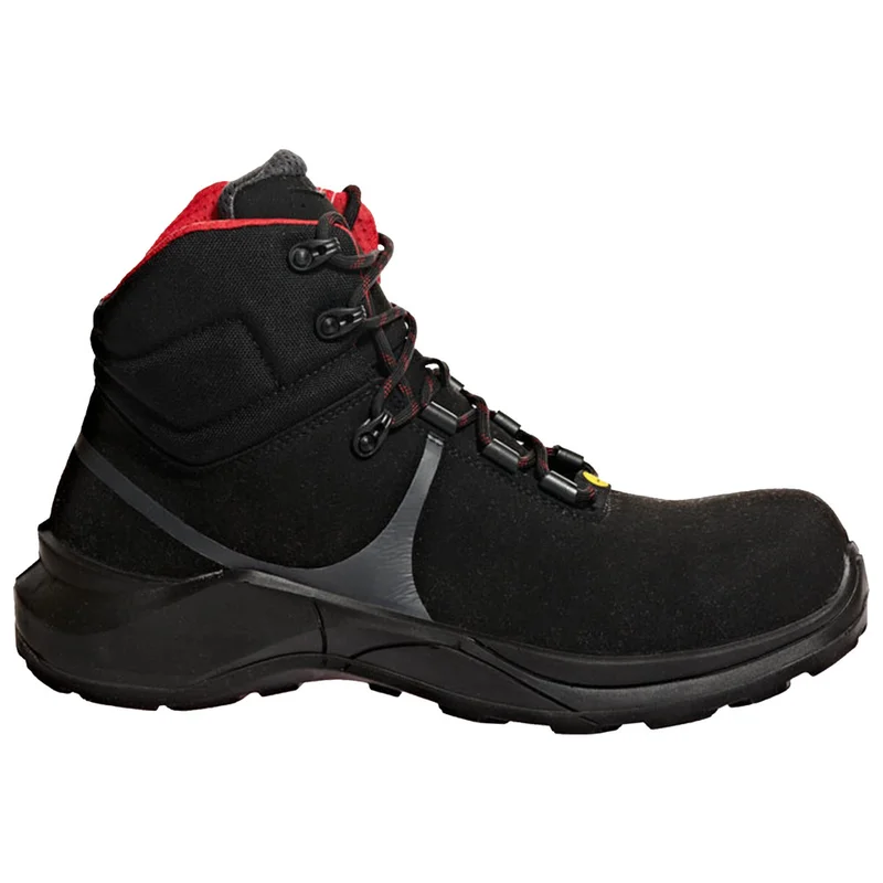 shop.doenges-rs2-288173