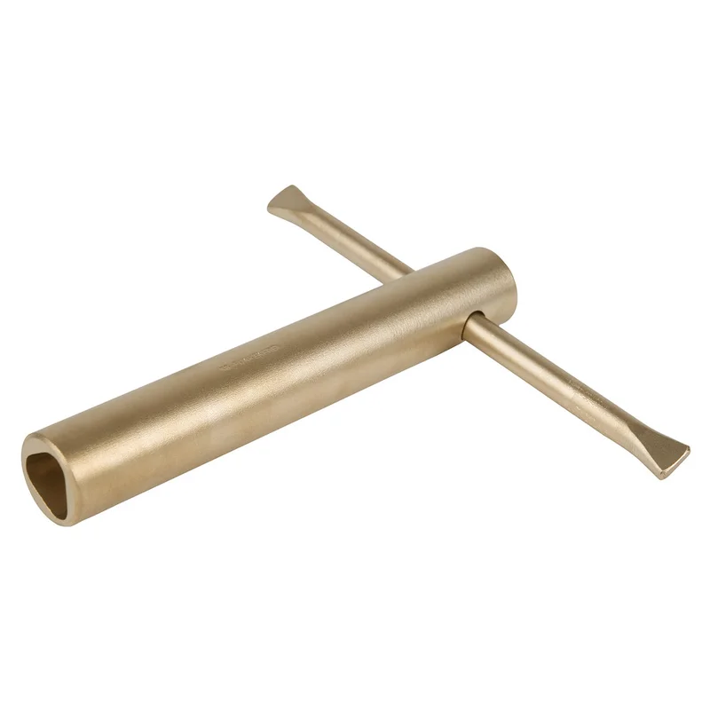 shop.doenges-rs2-288587