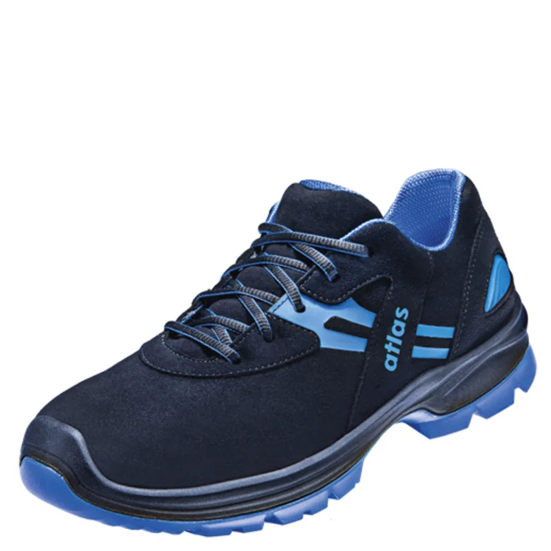 shop.doenges-rs2-289050