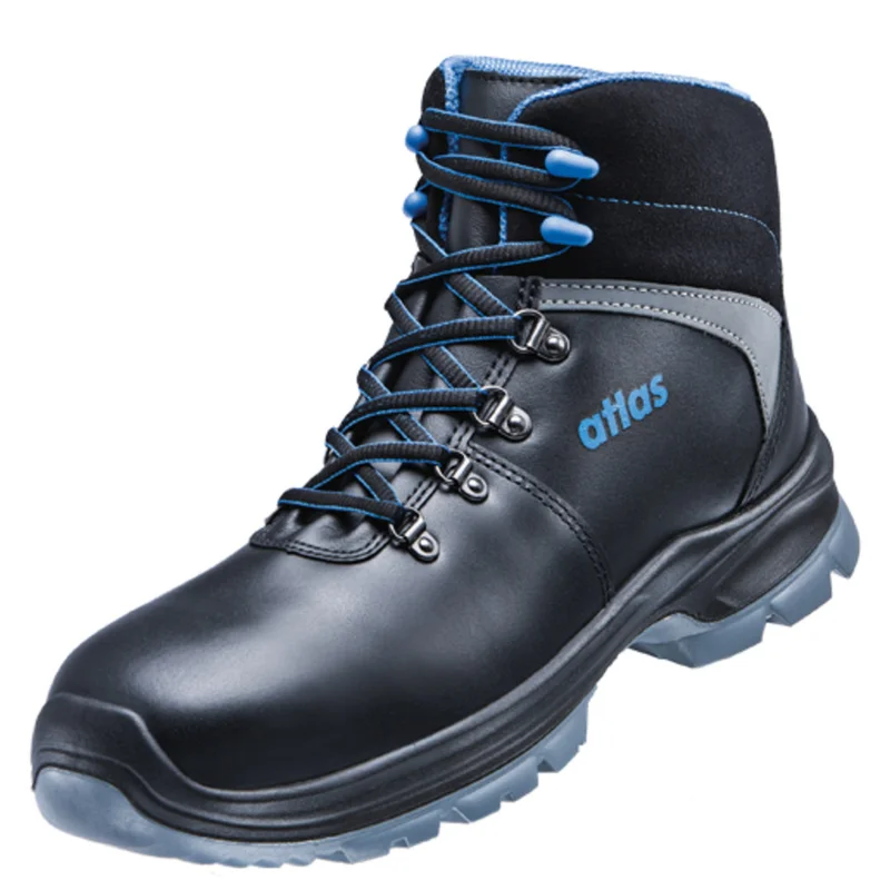 shop.doenges-rs2-292455