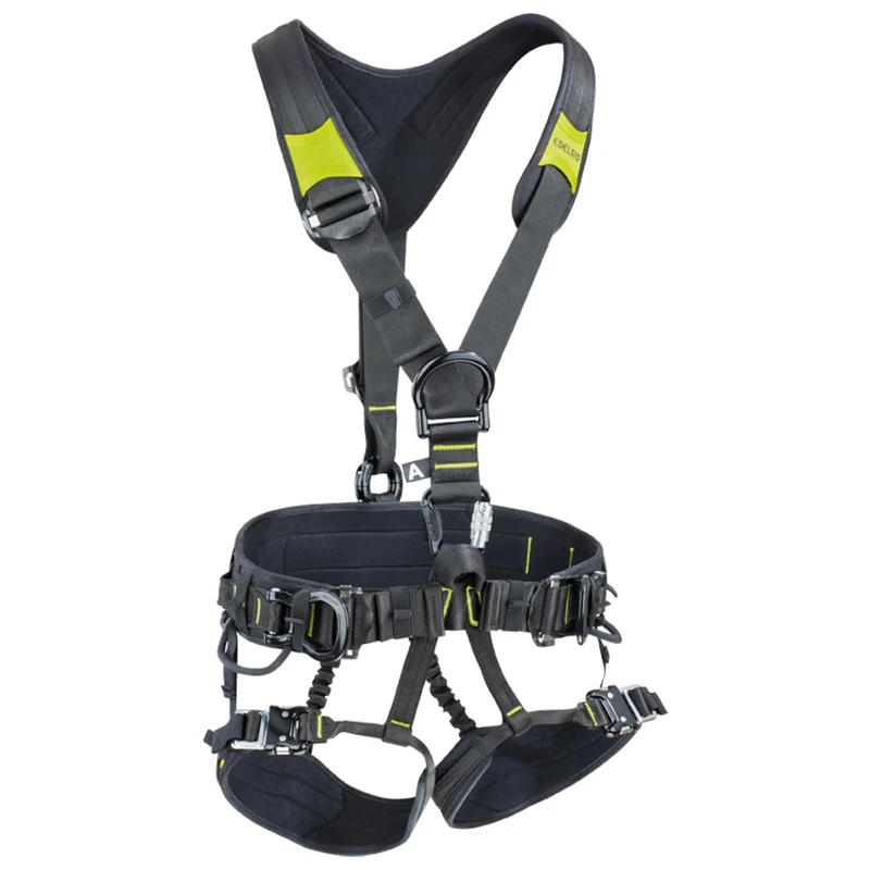 shop.doenges-rs2-293535