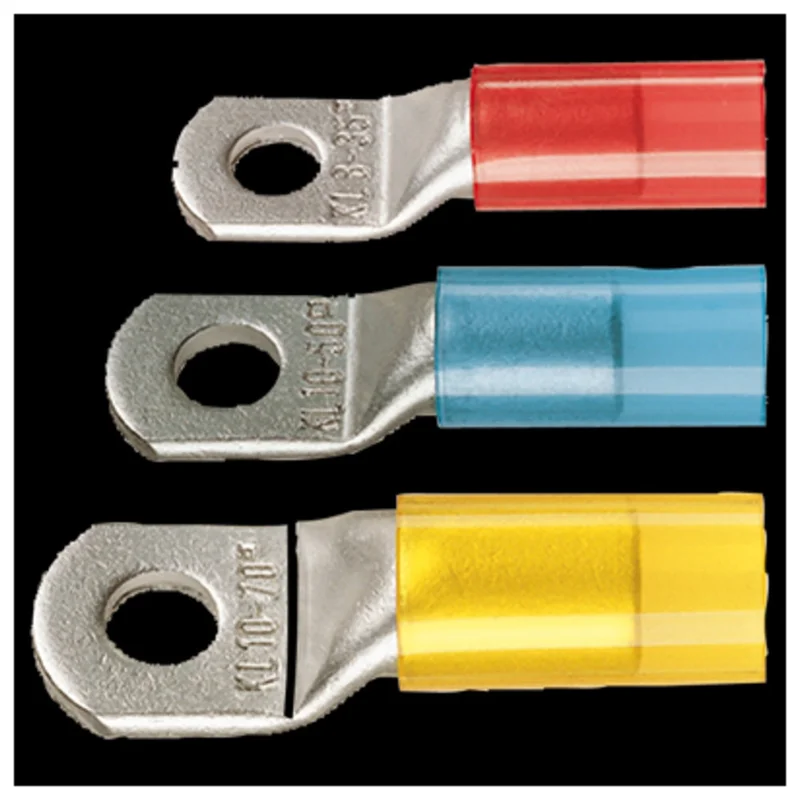 shop.doenges-rs2-293556