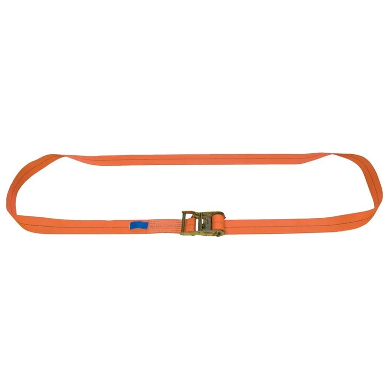 shop.doenges-rs2-295439