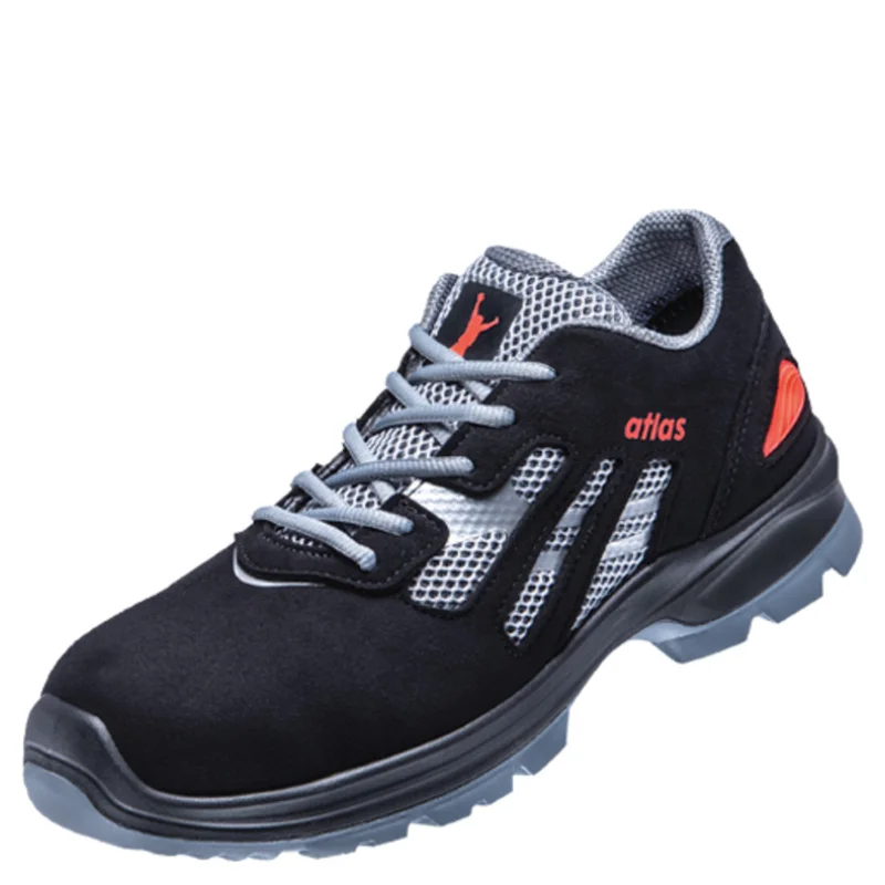shop.doenges-rs2-296174