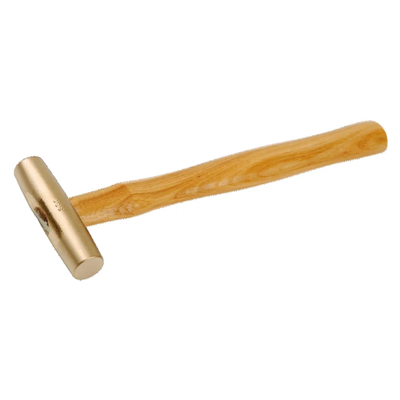 shop.doenges-rs2-296950