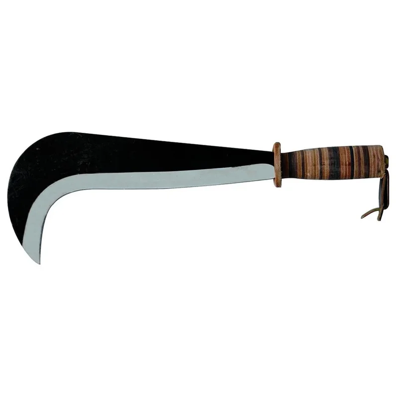 shop.doenges-rs2-297848