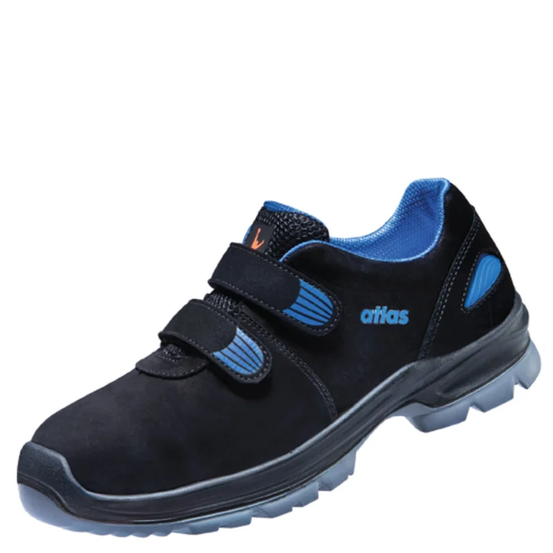 shop.doenges-rs2-299200