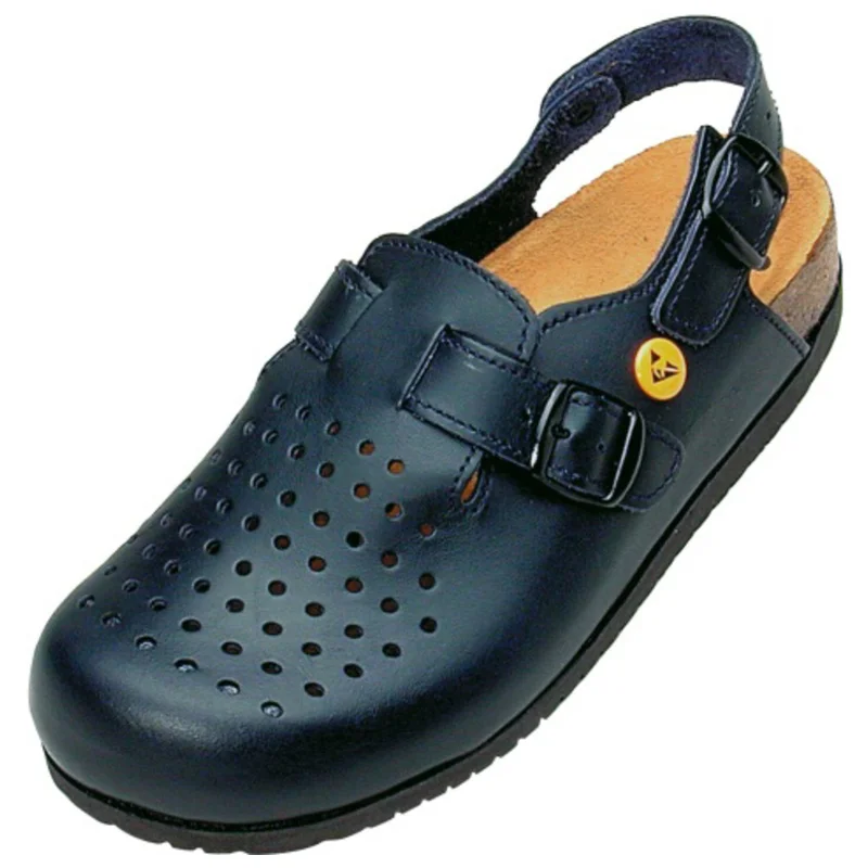shop.doenges-rs2-299282