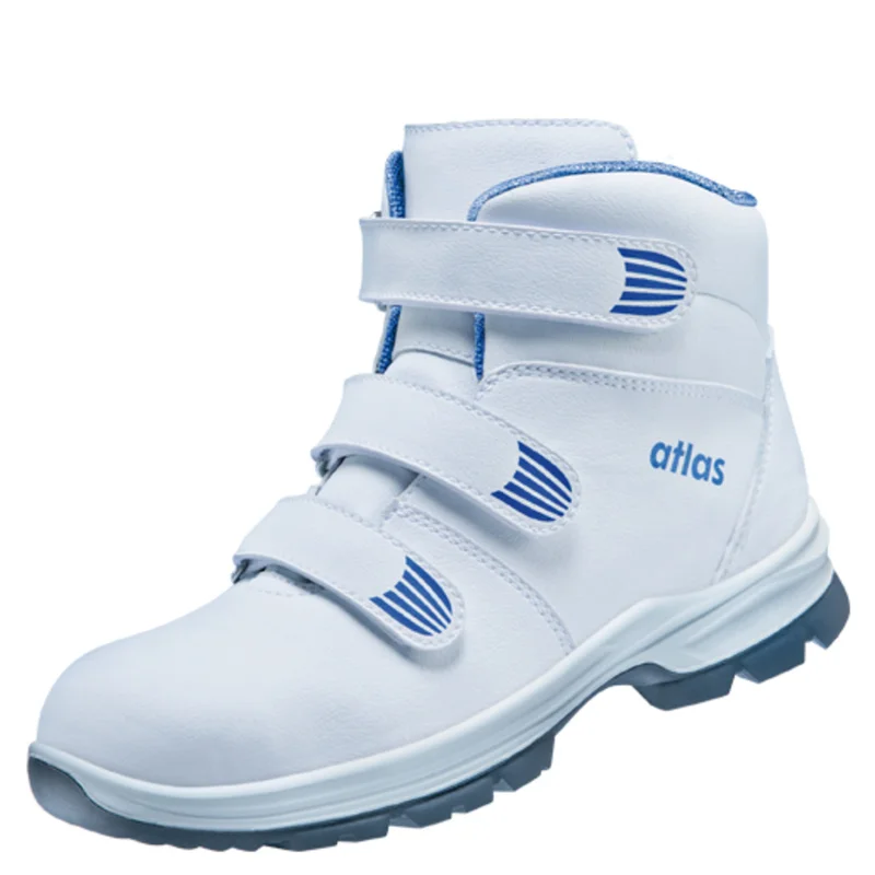 shop.doenges-rs2-299833