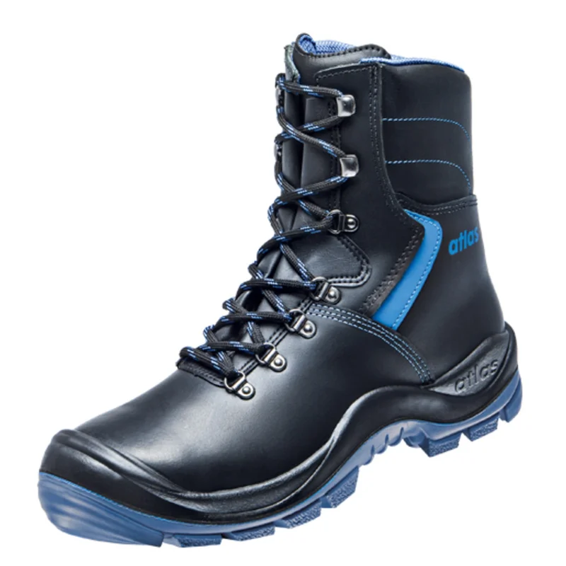 shop.doenges-rs2-302462