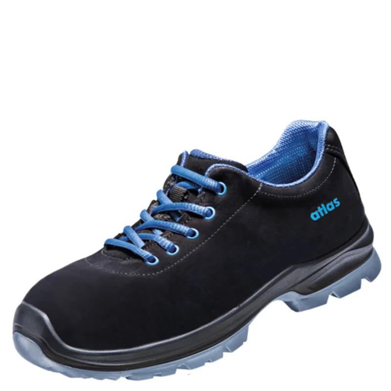 shop.doenges-rs2-331005