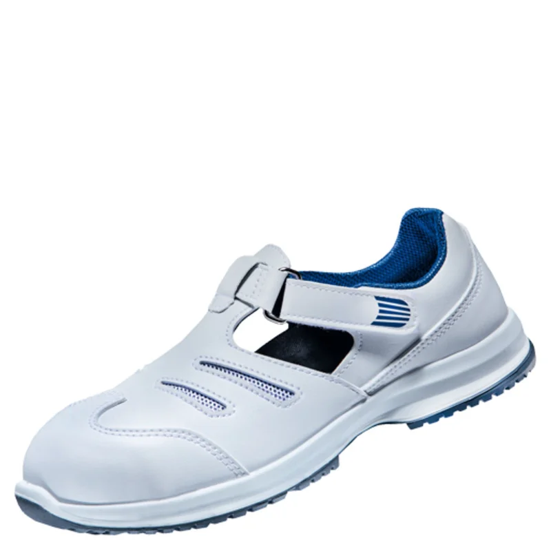 shop.doenges-rs2-331067