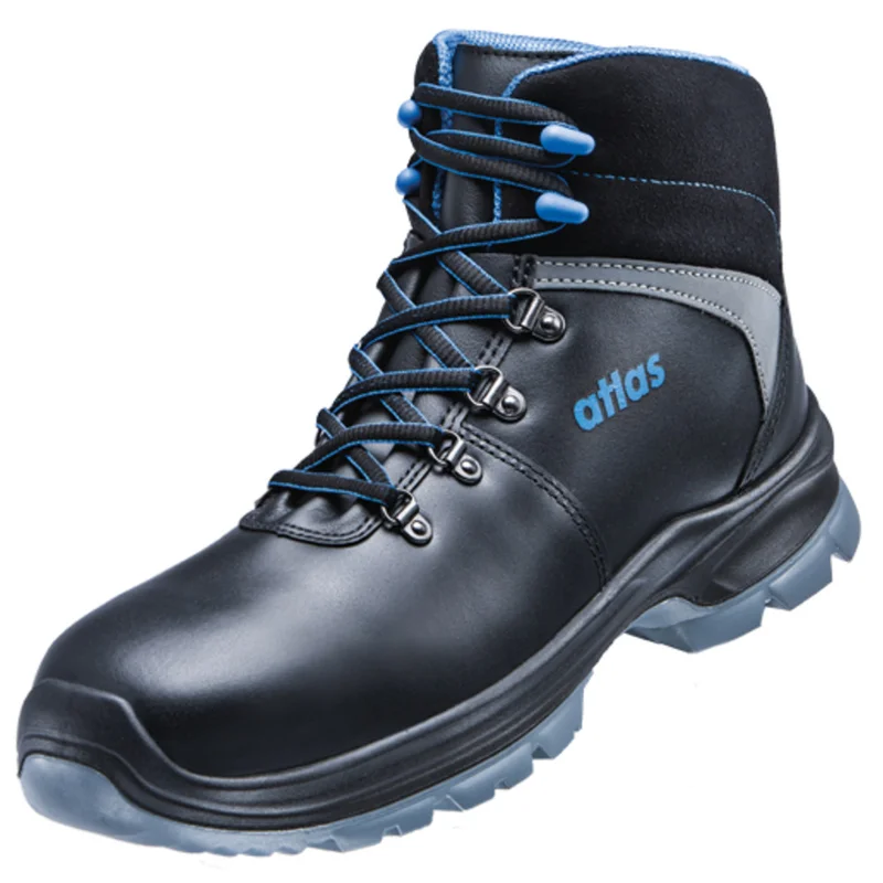 shop.doenges-rs2-331768