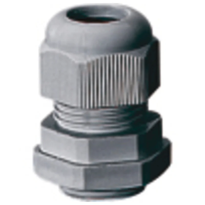 shop.doenges-rs2-355257