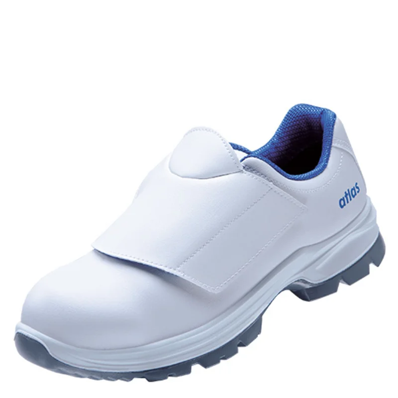 shop.doenges-rs2-355897