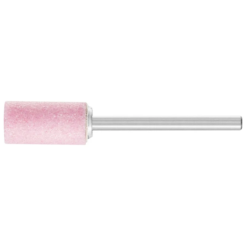 shop.doenges-rs2-384280