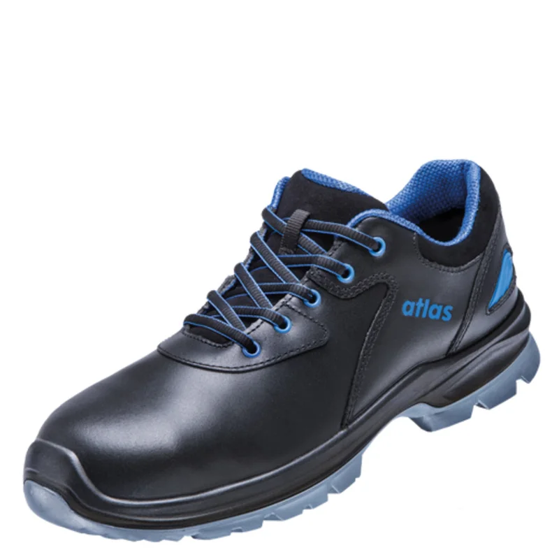 shop.doenges-rs2-385247