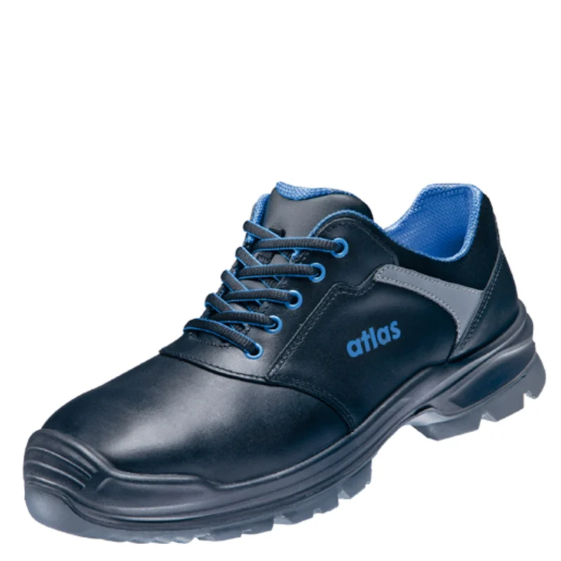 shop.doenges-rs2-389156