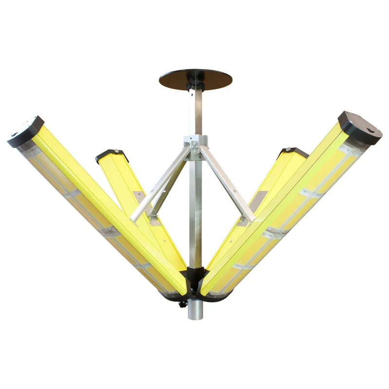 shop.doenges-rs2-389178