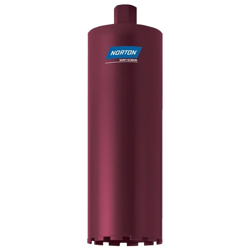 shop.doenges-rs2-390992