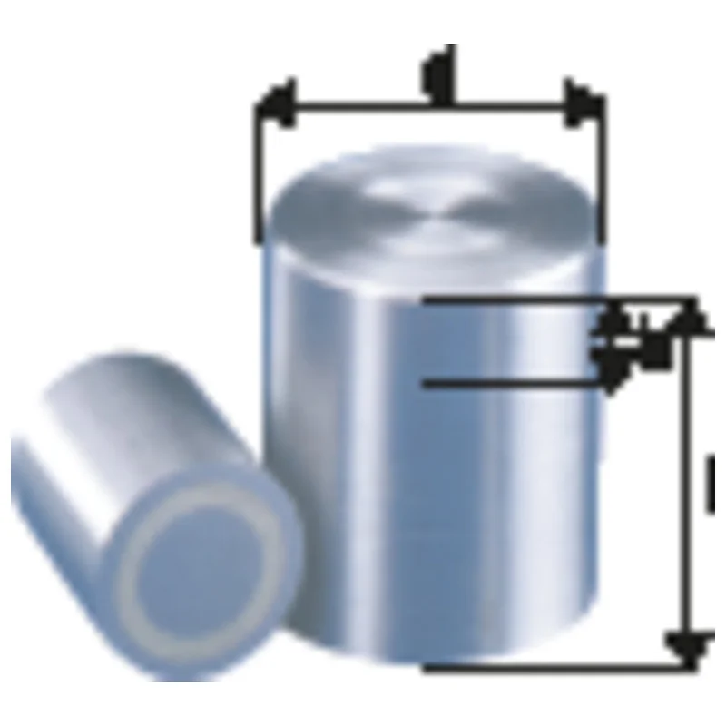 shop.doenges-rs2-393533