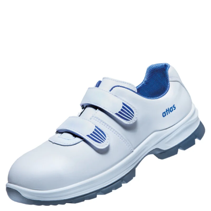 shop.doenges-rs2-395402