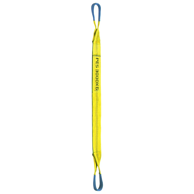 shop.doenges-rs2-397702