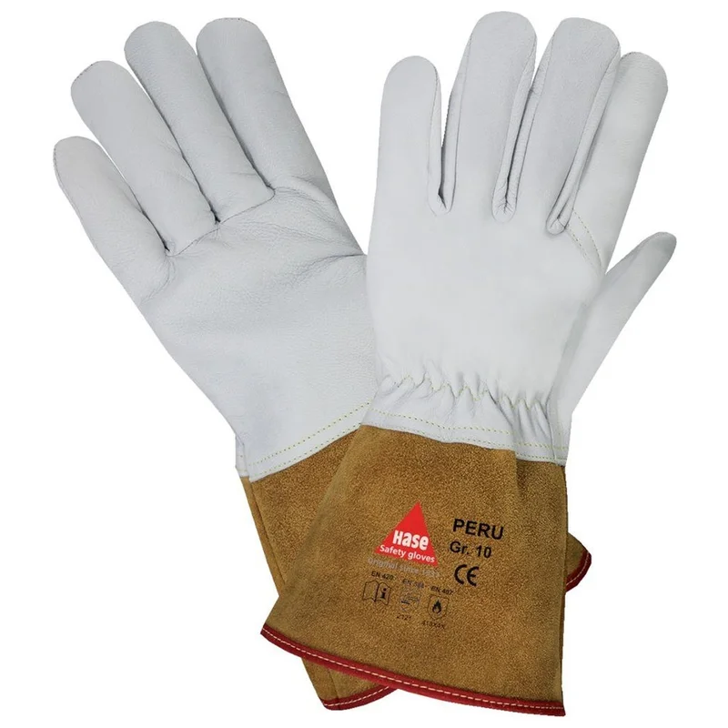 shop.doenges-rs2-402515