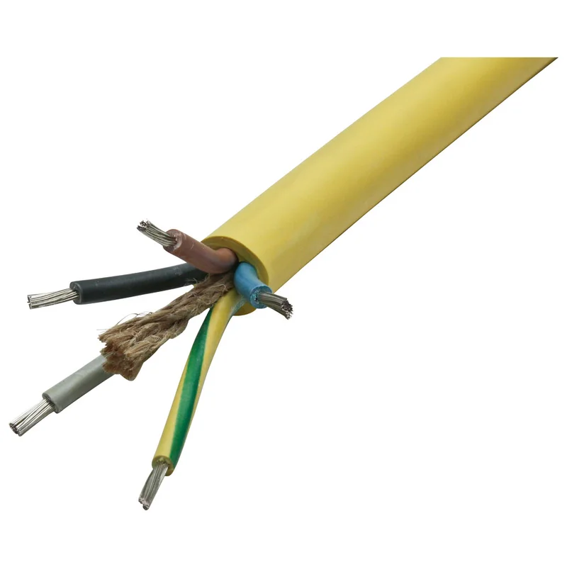 shop.doenges-rs2-403675