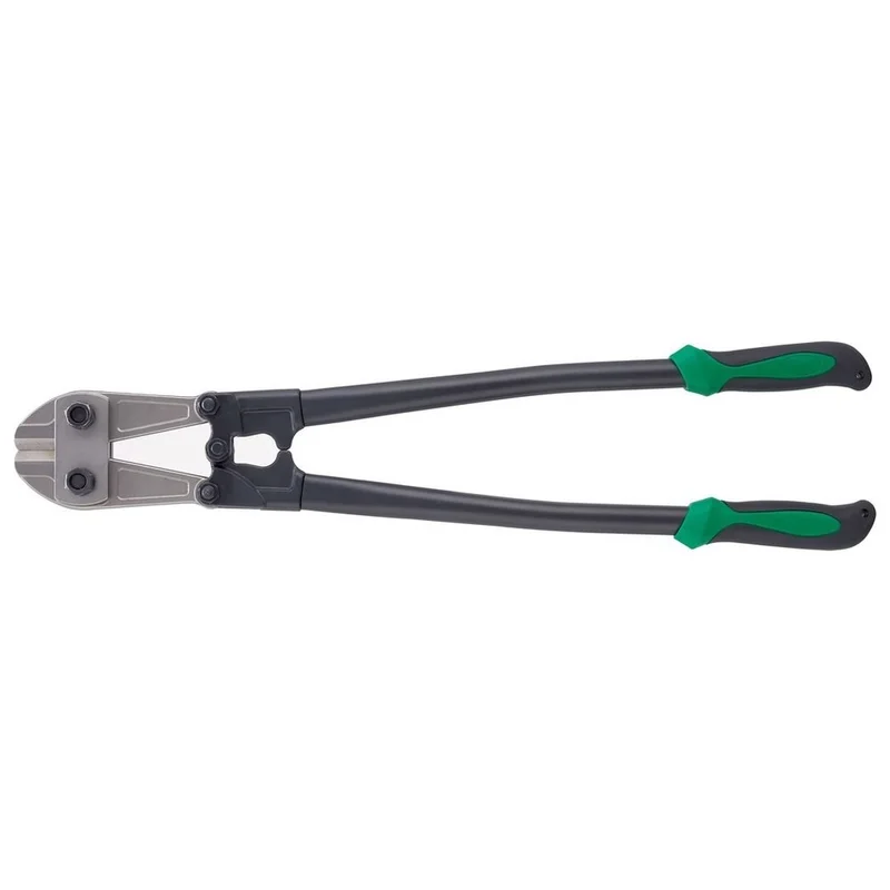 shop.doenges-rs2-411478