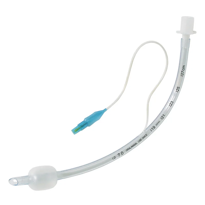 shop.doenges-rs2-417187