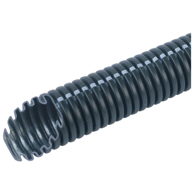 shop.doenges-rs2-421491