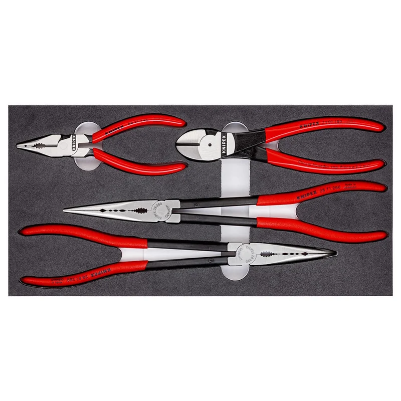 shop.doenges-rs2-427770