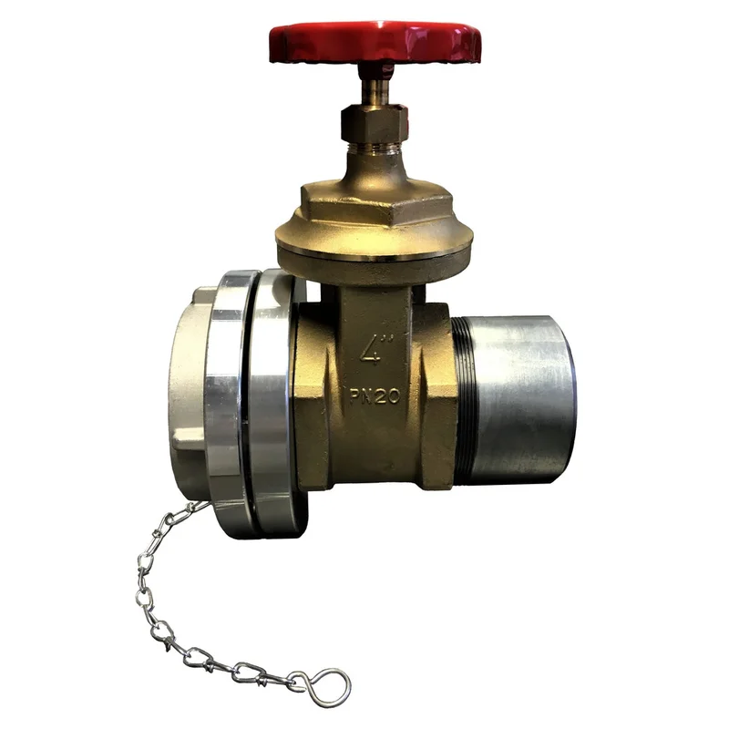 shop.doenges-rs2-429704