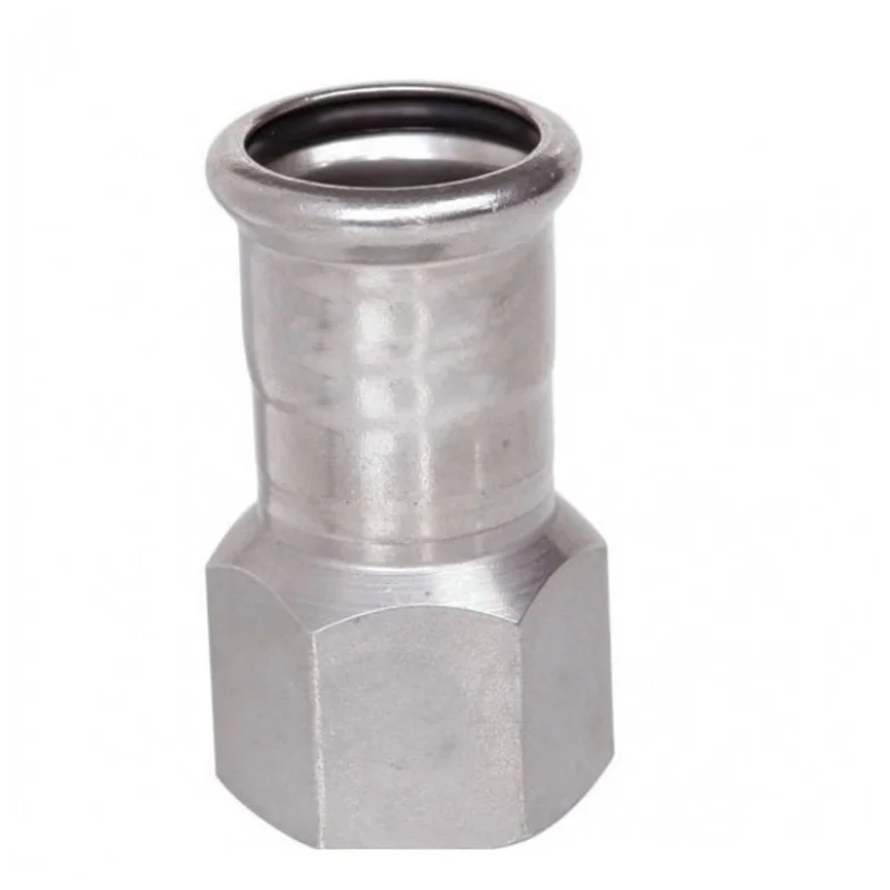 shop.doenges-rs2-432061