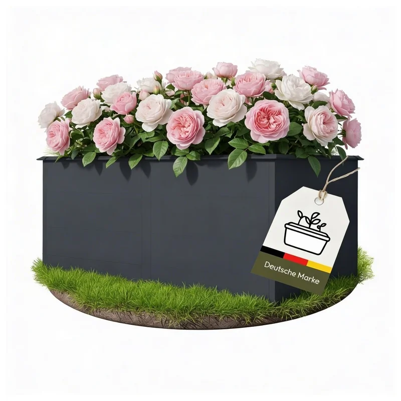 shop.doenges-rs2-433550