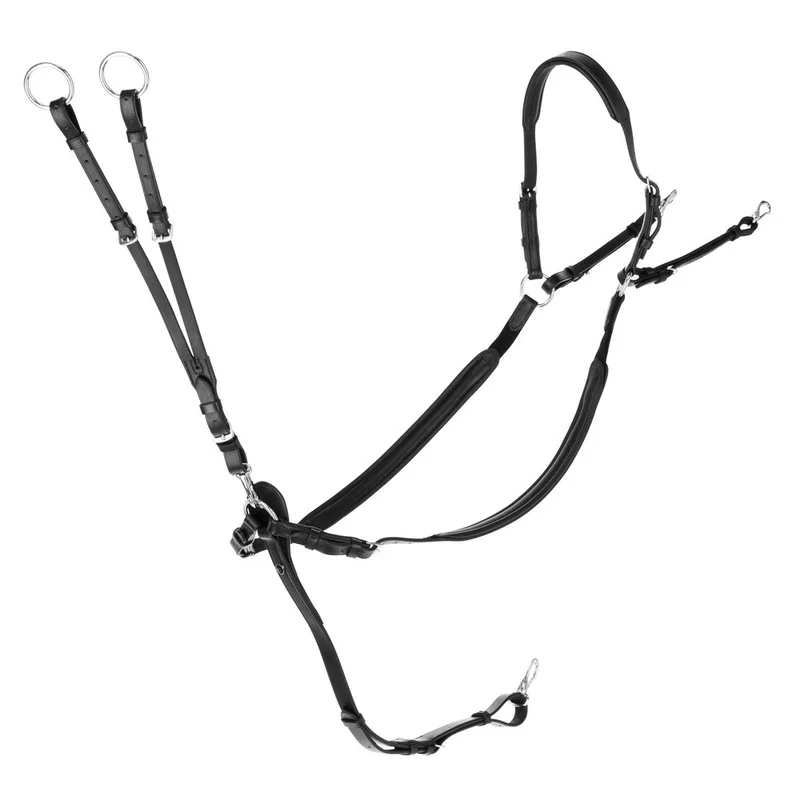 shop.doenges-rs2-433606