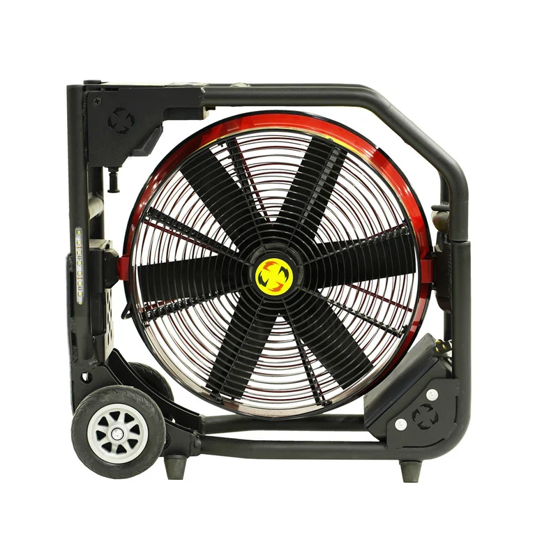 shop.doenges-rs2-434567