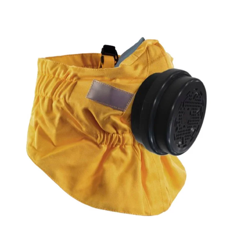shop.doenges-rs2-434860
