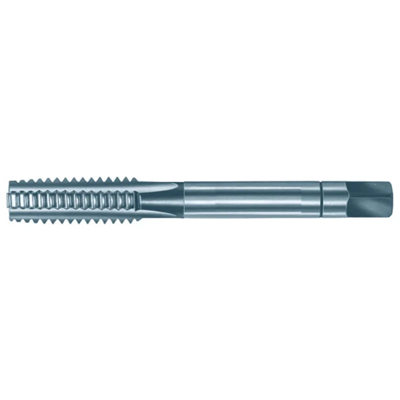 shop.doenges-rs2-440024